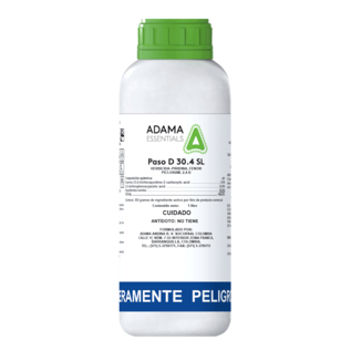 Paso D Product image.png